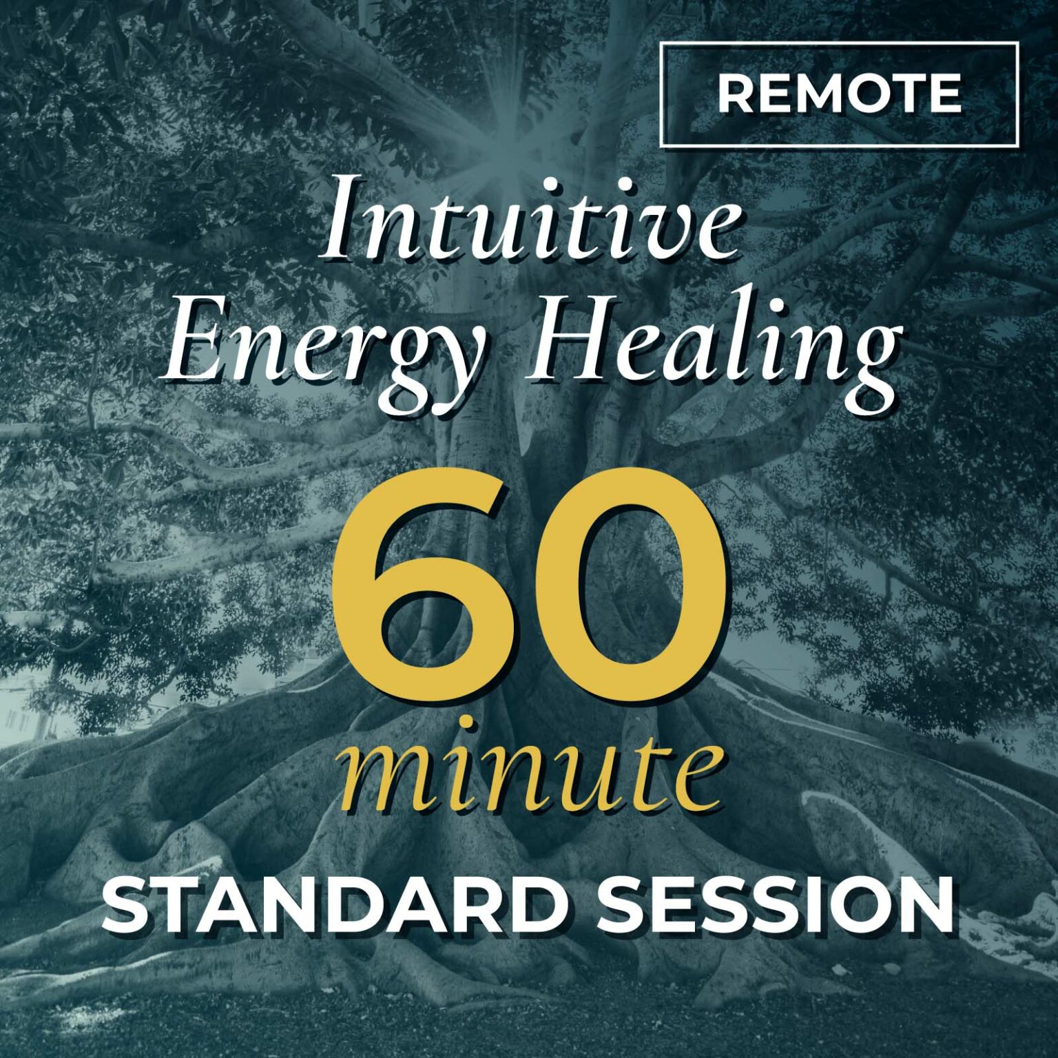 Intuitive Energy Healing Session — 60 Minute Standard — Remote — Teri Ingle